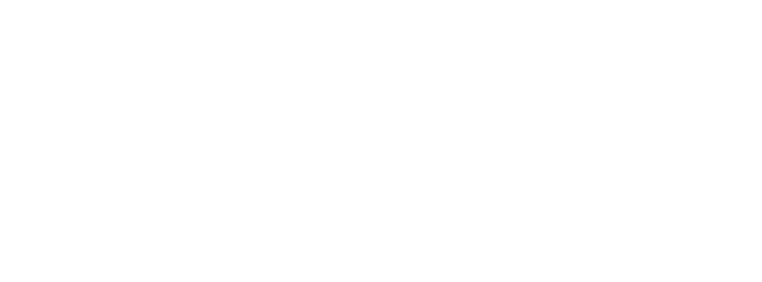 Logotipo Nucci ERP